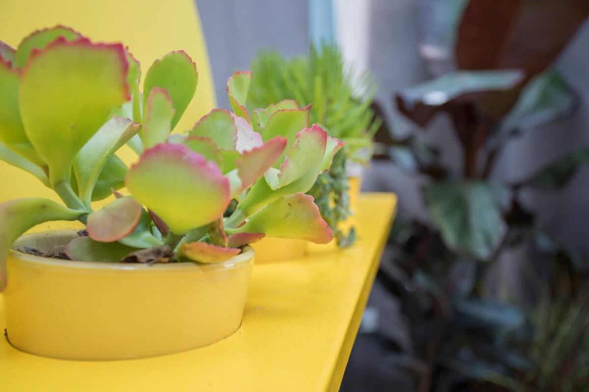 Liiiving In Porto - Clerigos Terrace Apartment Екстер'єр фото